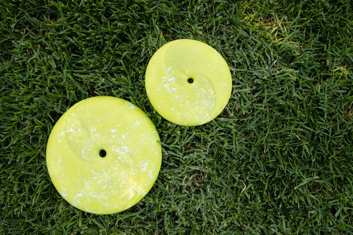 ZoomieRex InfiniDisc - Image 6